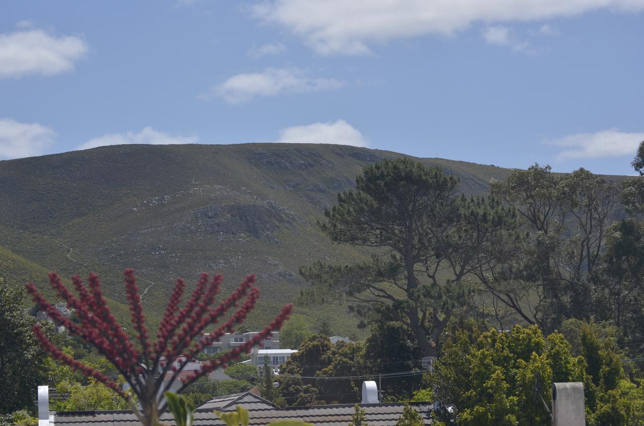Harmony Place Hotel Hermanus Exterior photo